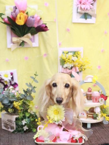 20230318ロイくん